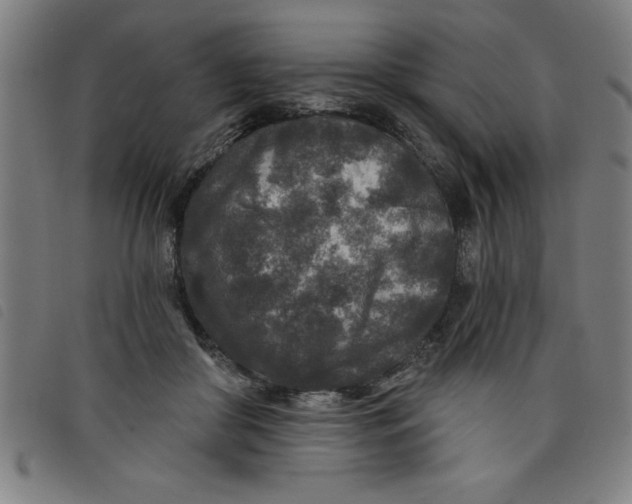 X0000097870410200804041555