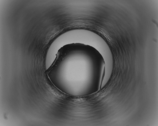 X0000097870411200804041555