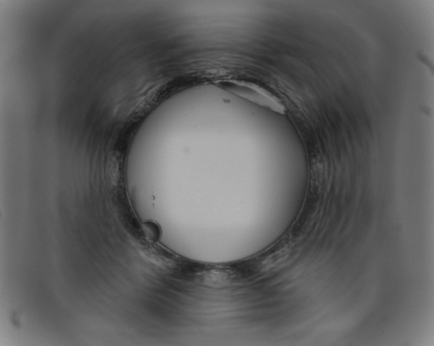 X0000097870412200804041555