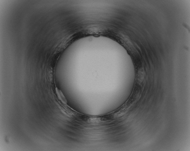 X0000097870413200804041555