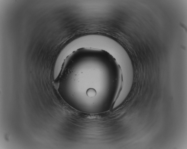 X0000097870415200804041555
