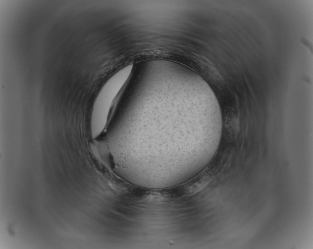 X0000097870416200804041555