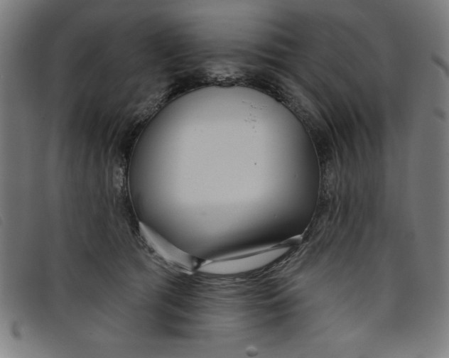 X0000097870417200804041555