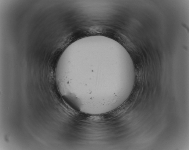 X0000097870418200804041555
