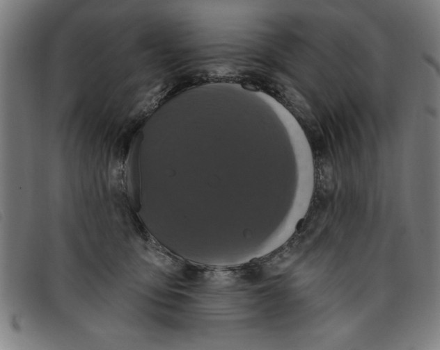 X0000097870419200804041555