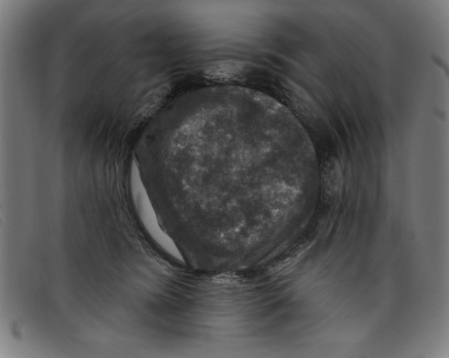 X0000097870420200804041555