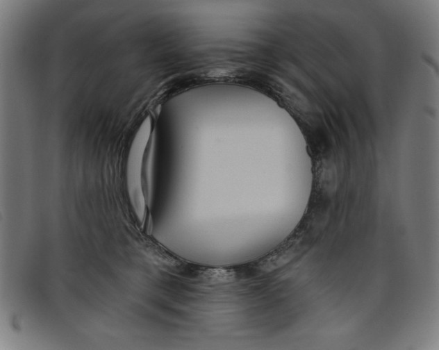 X0000097870421200804041555