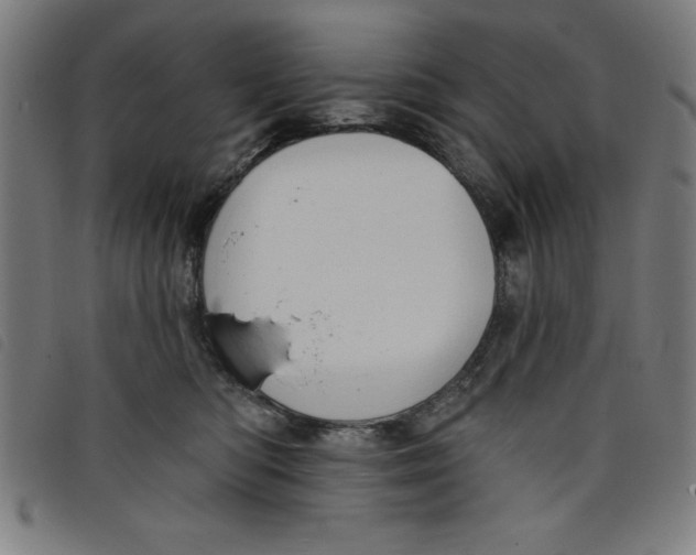 X0000097870422200804041555