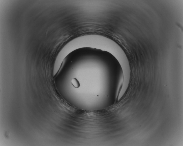 X0000097870423200804041555