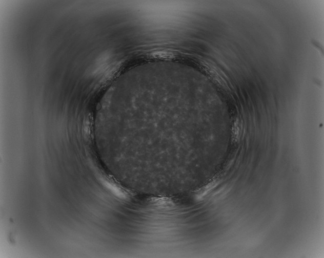 X0000097870424200804041555