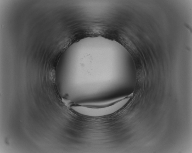 X0000097870425200804041555