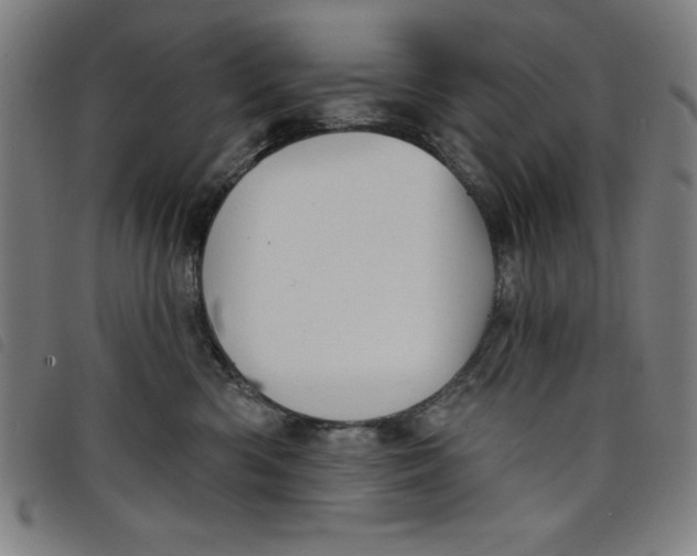 X0000097870426200804041555