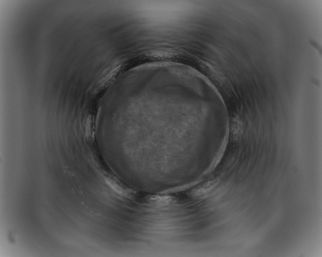 X0000097870428200804041555