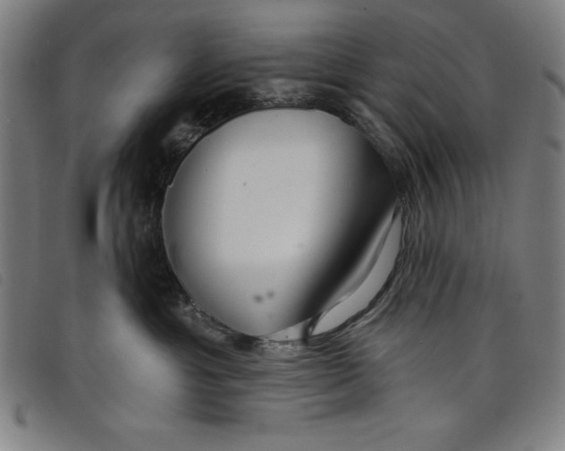 X0000097870429200804041555