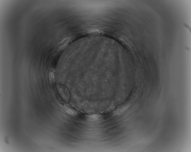 X0000097870432200804041555