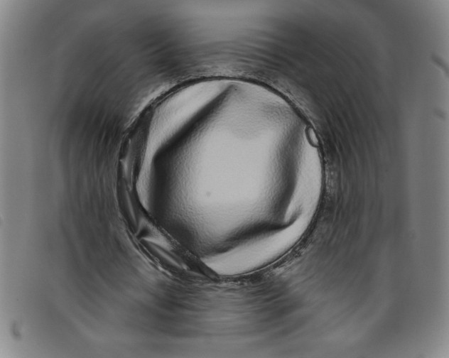 X0000097870434200804041554