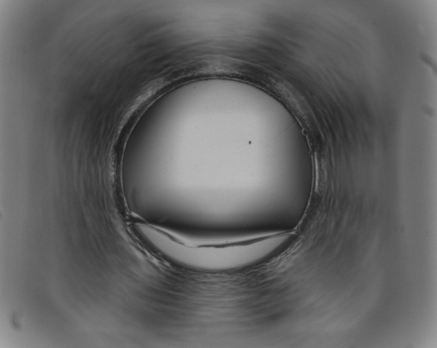 X0000097870435200804041554