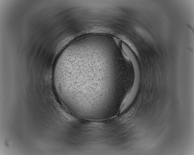 X0000097870437200804041554