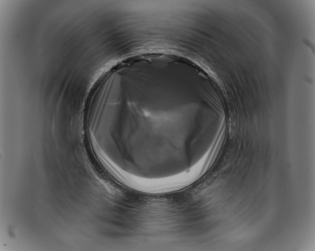 X0000097870438200804041554