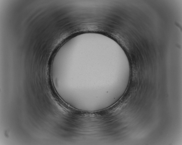 X0000097870439200804041554