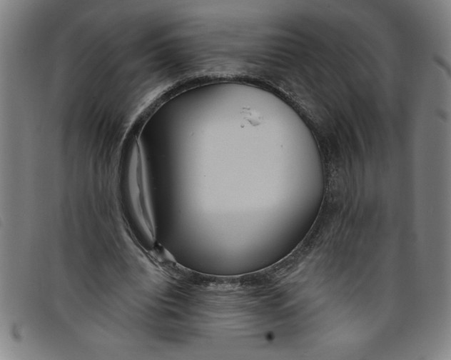 X0000097870440200804041554