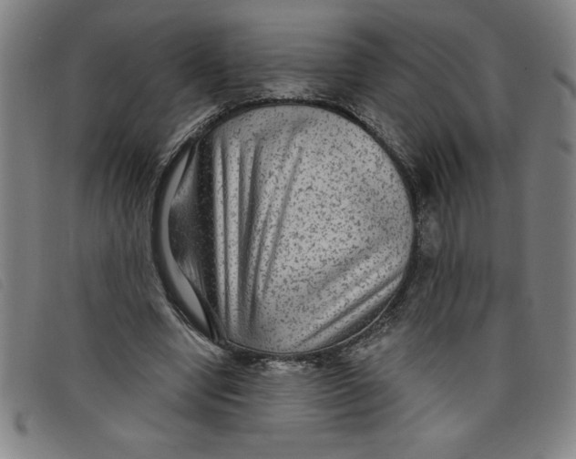 X0000097870442200804041554