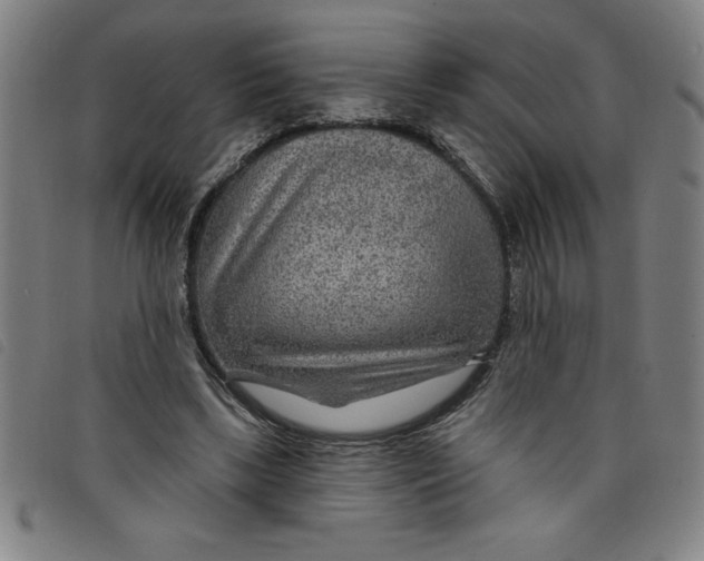 X0000097870443200804041554