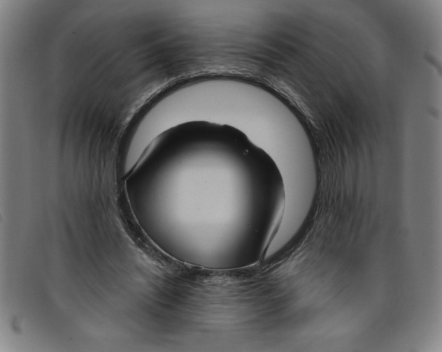 X0000097870444200804041554