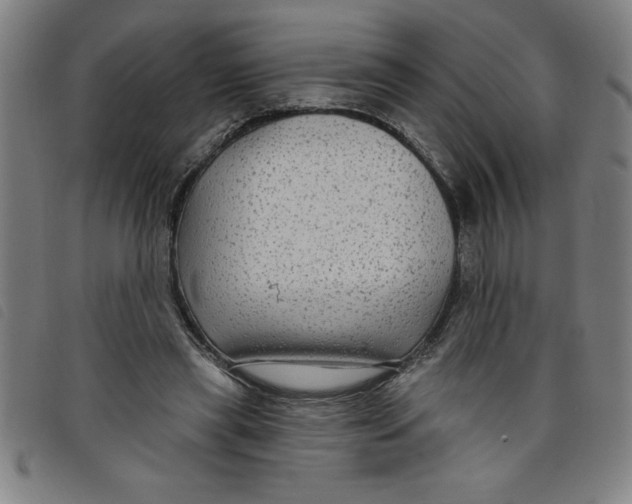 X0000097870445200804041554
