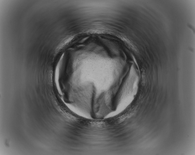 X0000097870446200804041554
