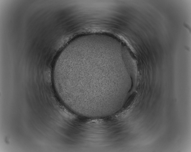 X0000097870447200804041554