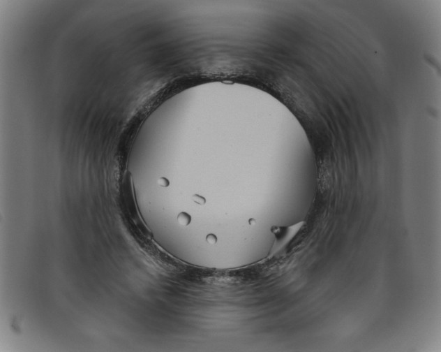 X0000097870448200804041554