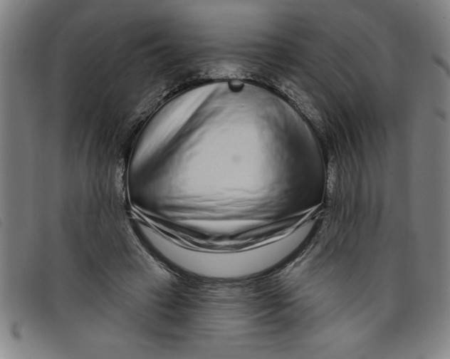 X0000097870449200804041554