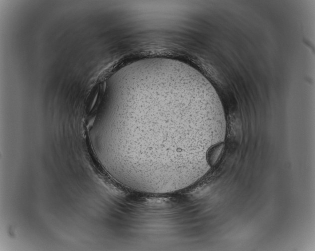 X0000097870450200804041554