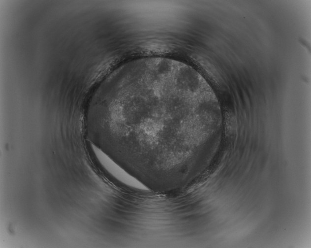 X0000097870451200804041554