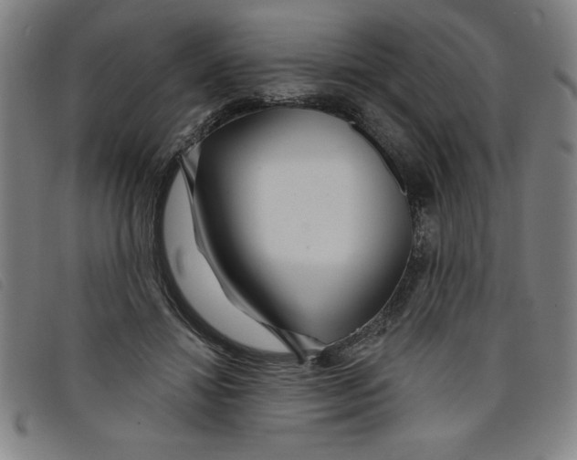 X0000097870452200804041554
