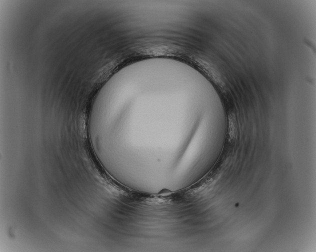 X0000097870453200804041554