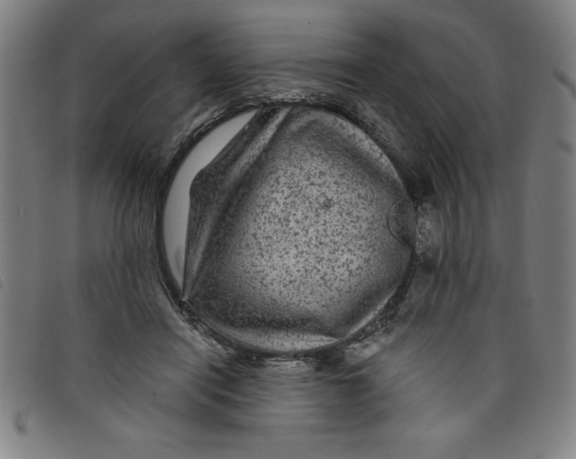 X0000097870454200804041554