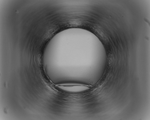 X0000097870455200804041554