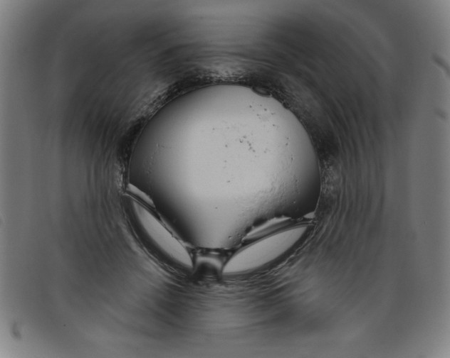X0000097870456200804041554