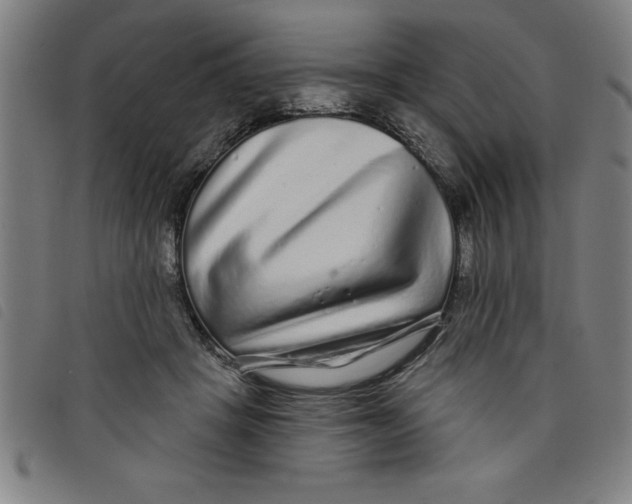 X0000097870457200804041554