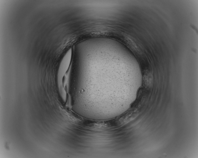 X0000097870458200804041554