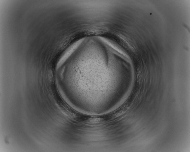 X0000097870459200804041554