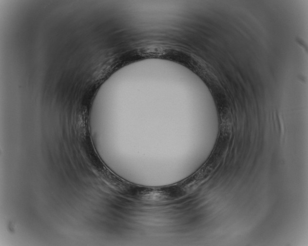 X0000097870460200804041555