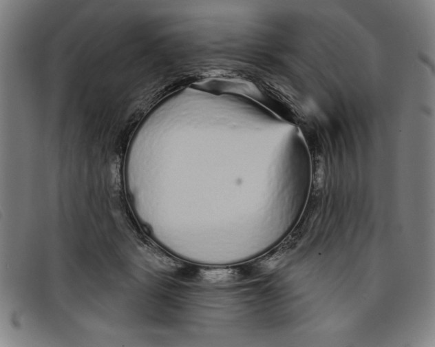 X0000097870461200804041555