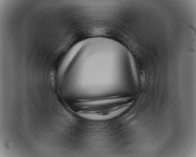 X0000097870462200804041555