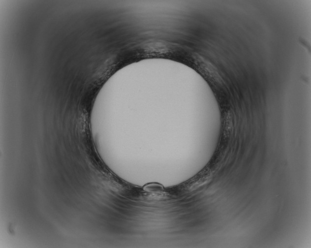 X0000097870463200804041555