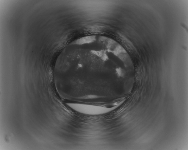 X0000097870465200804041555