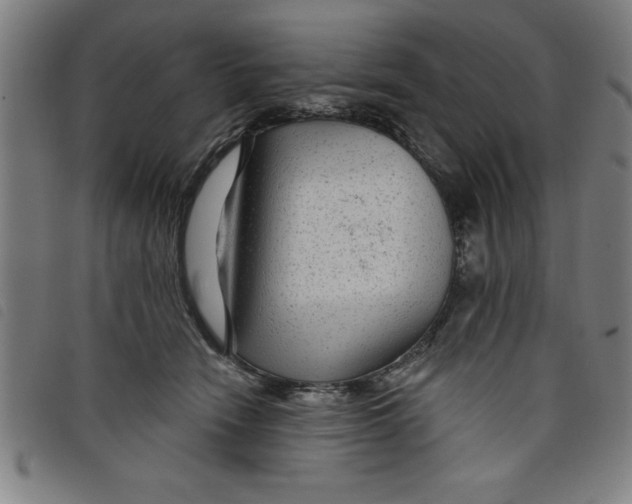 X0000097870466200804041555