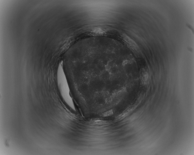 X0000097870467200804041555